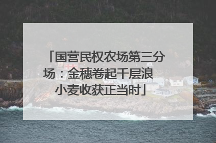 国营民权农场第三分场：金穗卷起千层浪 小麦收获正当时
