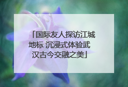 国际友人探访江城地标 沉浸式体验武汉古今交融之美