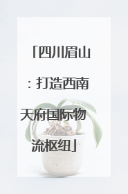 四川眉山：打造西南天府国际物流枢纽