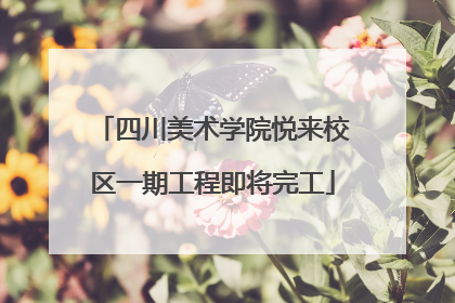 四川美术学院悦来校区一期工程即将完工