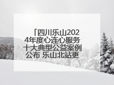 四川乐山2024年度心连心服务十大典型公益案例公布 乐山北站更名、绿心路井盖治理等上榜