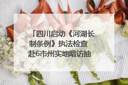 四川启动《河湖长制条例》执法检查 赴6市州实地暗访抽查｜四川人大之声