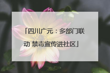 四川广元：多部门联动 禁毒宣传进社区