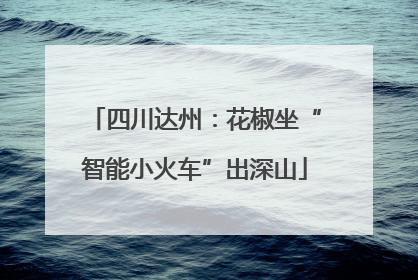四川达州：花椒坐“智能小火车”出深山