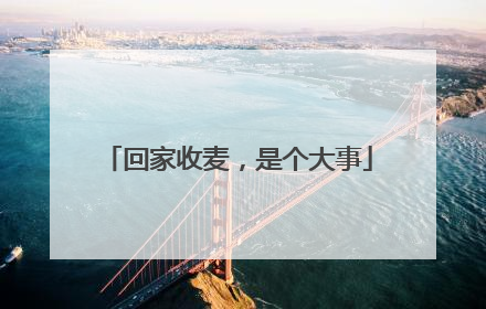 回家收麦，是个大事