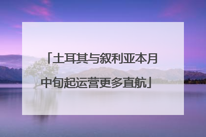 土耳其与叙利亚本月中旬起运营更多直航