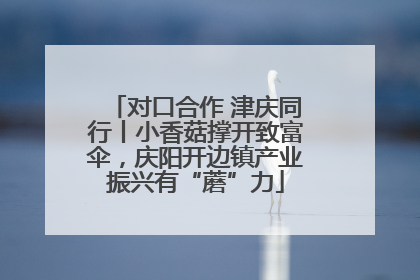 对口合作 津庆同行丨小香菇撑开致富伞，庆阳开边镇产业振兴有“蘑”力