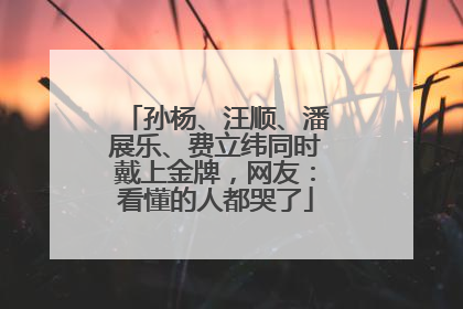 孙杨、汪顺、潘展乐、费立纬同时戴上金牌，网友：看懂的人都哭了