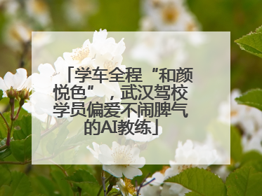 学车全程“和颜悦色”，武汉驾校学员偏爱不闹脾气的AI教练