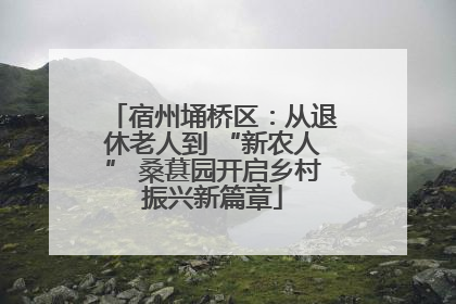宿州埇桥区：从退休老人到 “新农人” 桑葚园开启乡村振兴新篇章