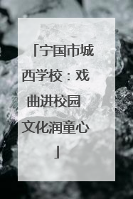 宁国市城西学校：戏曲进校园 文化润童心