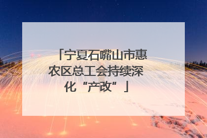 宁夏石嘴山市惠农区总工会持续深化“产改”