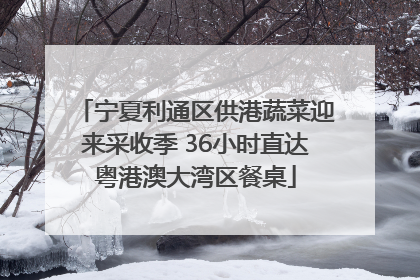 宁夏利通区供港蔬菜迎来采收季 36小时直达粤港澳大湾区餐桌