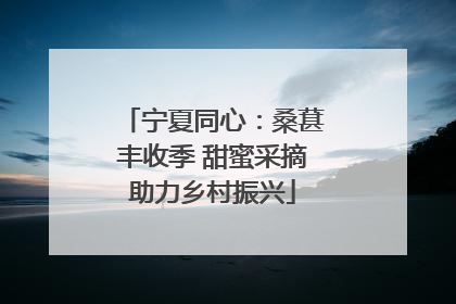 宁夏同心：桑葚丰收季 甜蜜采摘助力乡村振兴