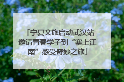宁夏文旅启动武汉站 邀请青春学子到“塞上江南”感受奇妙之旅