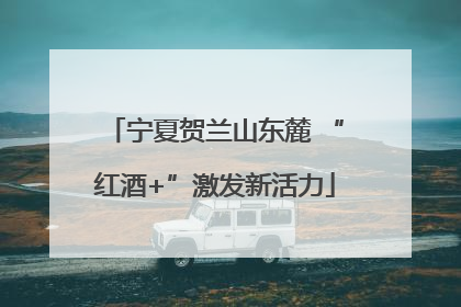 宁夏贺兰山东麓 “红酒+”激发新活力