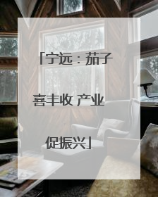 宁远：茄子喜丰收 产业促振兴