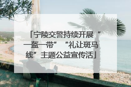 宁陵交警持续开展“一盔一带”“礼让斑马线”主题公益宣传活
