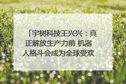 宇树科技王兴兴：真正解放生产力前 机器人格斗会成为全球受欢迎的赛事｜科技观察