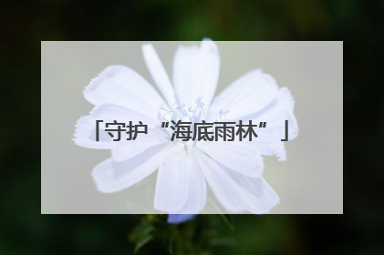 守护“海底雨林”