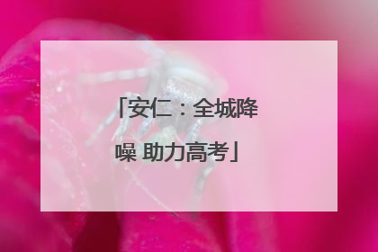 安仁：全城降噪 助力高考
