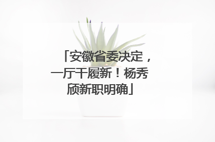 安徽省委决定，一厅干履新！杨秀颀新职明确