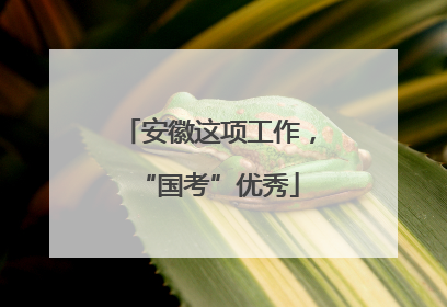 安徽这项工作，“国考”优秀