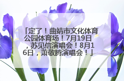 定了！曲靖市文化体育公园体育场！7月19日，苏见信演唱会！8月16日，萧敬腾演唱会！