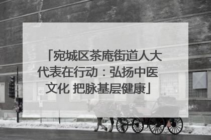 宛城区茶庵街道人大代表在行动：弘扬中医文化 把脉基层健康