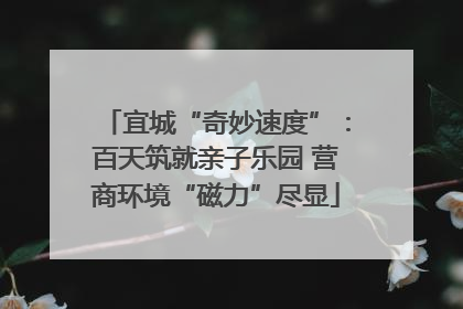 宜城“奇妙速度”：百天筑就亲子乐园 营商环境“磁力”尽显