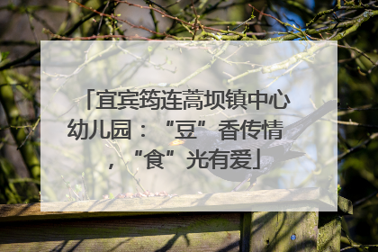 宜宾筠连蒿坝镇中心幼儿园：“豆”香传情，“食”光有爱