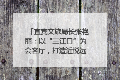 宜宾文旅局长张艳丽：以“三江口”为会客厅，打造近悦远来的国际旅游城市｜文旅局长说
