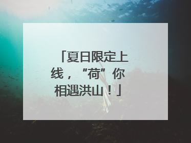 夏日限定上线，“荷”你相遇洪山！