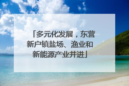 多元化发展，东营新户镇盐场、渔业和新能源产业并进