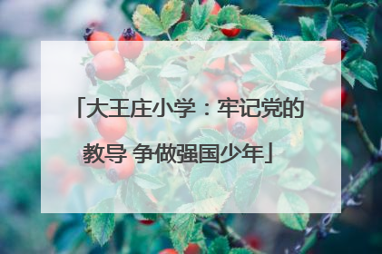 大王庄小学：牢记党的教导 争做强国少年