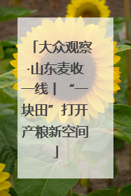 大众观察·山东麦收一线丨“一块田”打开产粮新空间