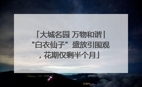 大城名园 万物和谐│“白衣仙子”盛放引围观，花期仅剩半个月