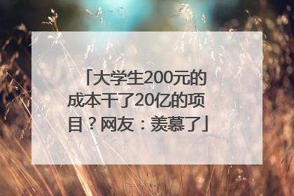 大学生200元的成本干了20亿的项目？网友：羡慕了