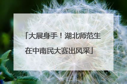 大展身手！湖北师范生在中南民大赛出风采