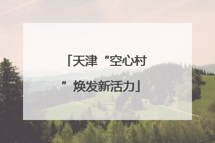 天津“空心村”焕发新活力