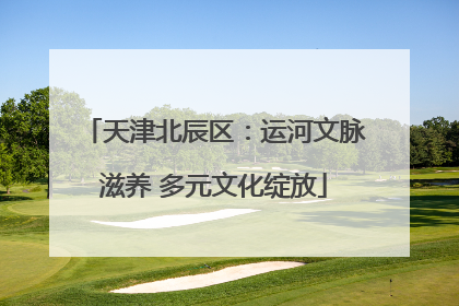 天津北辰区：运河文脉滋养 多元文化绽放