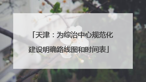 天津：为综治中心规范化建设明确路线图和时间表