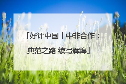 好评中国丨中非合作：典范之路 续写辉煌