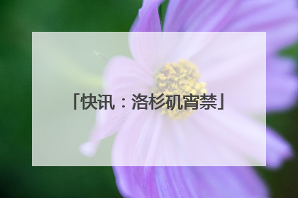 快讯：洛杉矶宵禁