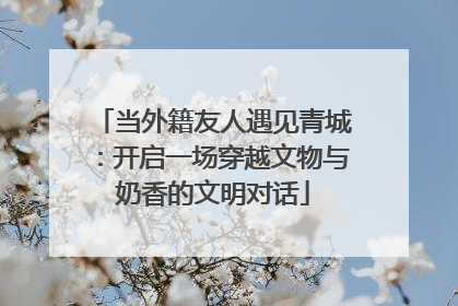 当外籍友人遇见青城：开启一场穿越文物与奶香的文明对话