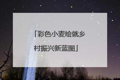 彩色小麦绘就乡村振兴新蓝图