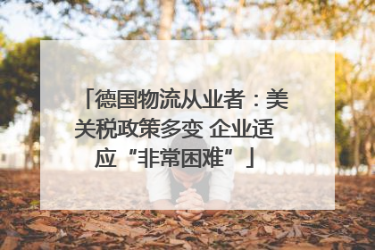 德国物流从业者：美关税政策多变 企业适应“非常困难”