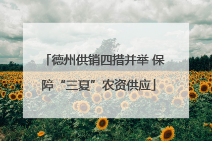 德州供销四措并举 保障“三夏”农资供应
