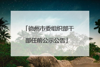 德州市委组织部干部任前公示公告