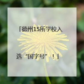 德州15所学校入选“国字号”！